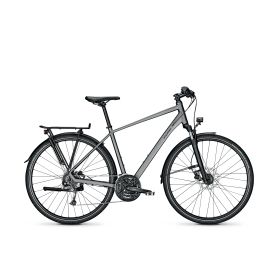 Raleigh RUSHHOUR 1.0 - jetgrey matt