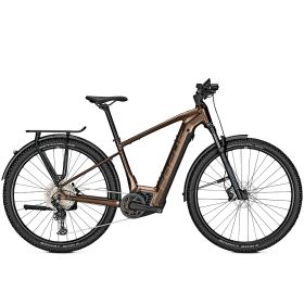 Focus AVENTURA² 6.8 - Gold Brown