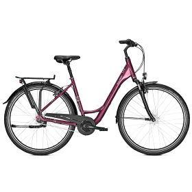Raleigh CHESTER 7 - cassis glossy