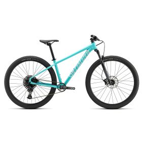 Specialized Rockhopper Expert 29 - GLOSS LAGOON BLUE / SATIN LIGHT SILVER