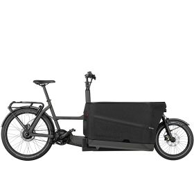 Riese & Müller Packster 70 vario (RX, Komfort-Kit, 2 Kindersitze) - urban grey matt