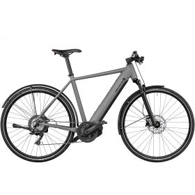 Riese & Müller Roadster4 touring - Grey Matt