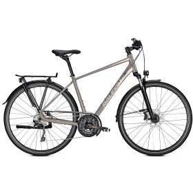 Raleigh RUSHHOUR 6.0 - moonstonegrey glossy