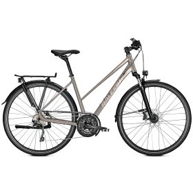 Raleigh RUSHHOUR 6.0 - moonstonegrey glossy