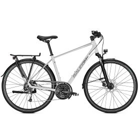 Raleigh RUSHHOUR 1.0 - lightgrey glossy
