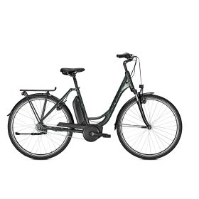 Raleigh Jersey 7 - Techgreen Glossy