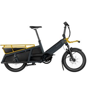 Riese & Müller Multitinker vario - utility grey/curry matt