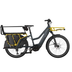 Riese & Müller Multicharger3 Mixte FAMILY T - utility grey/curry matt