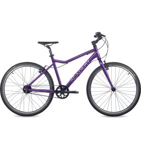 ACADEMY GRADE 6 belt - purple